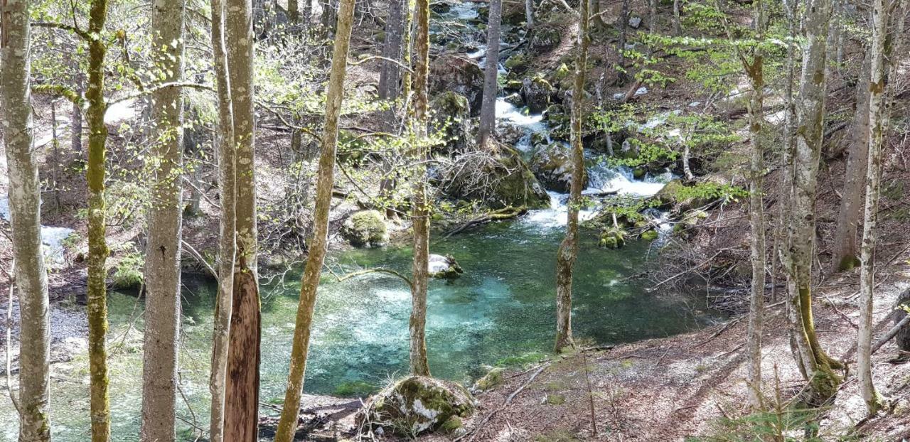 Yellow Apartma Kranjska Gora Lejlighed Eksteriør billede