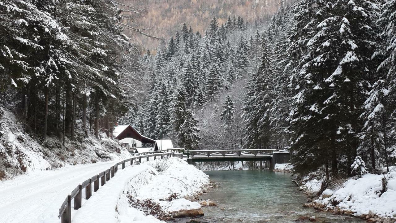 Yellow Apartma Kranjska Gora Lejlighed Eksteriør billede