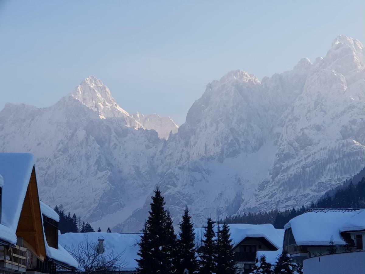 Yellow Apartma Kranjska Gora Lejlighed Eksteriør billede