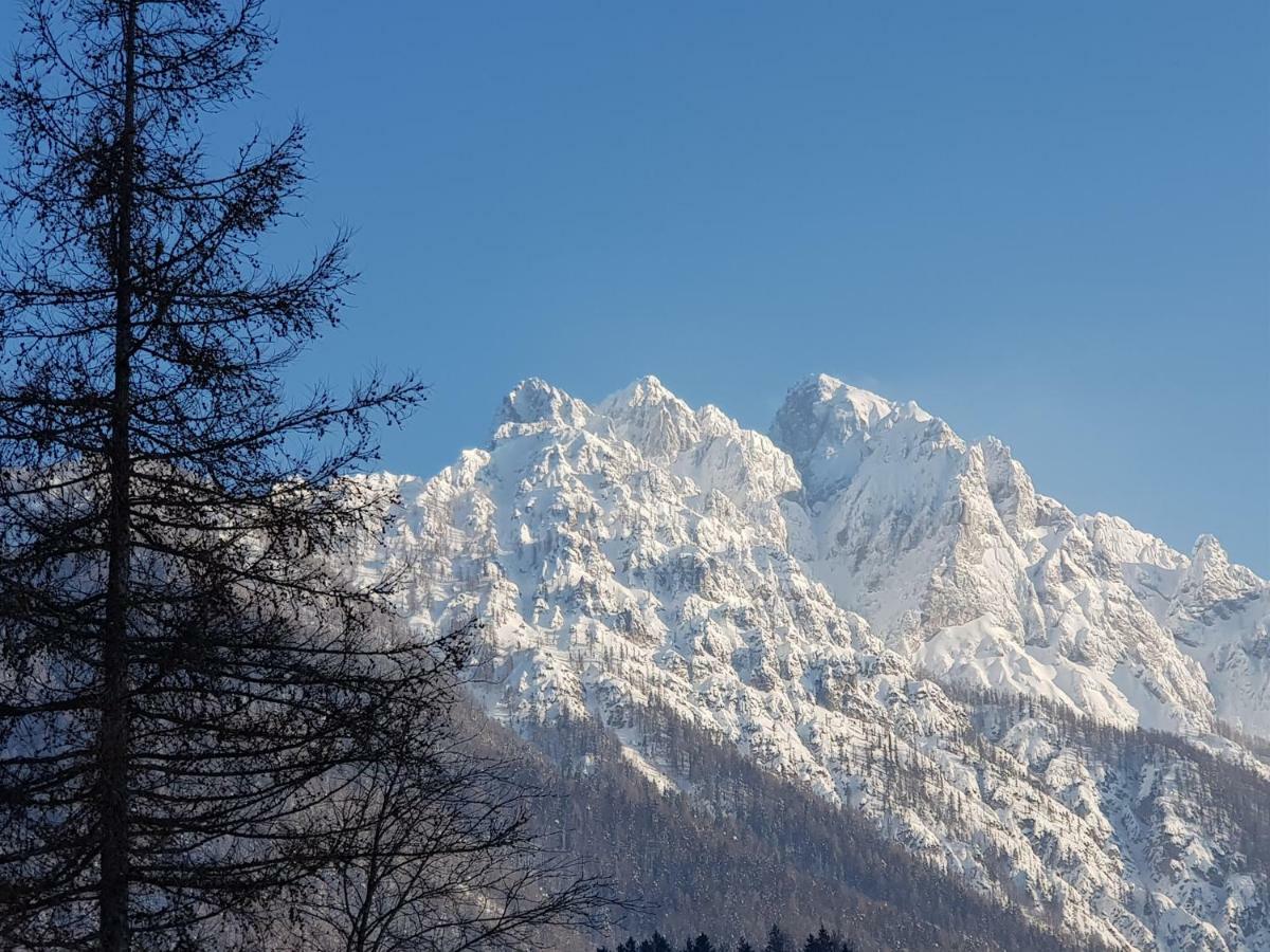 Yellow Apartma Kranjska Gora Lejlighed Eksteriør billede