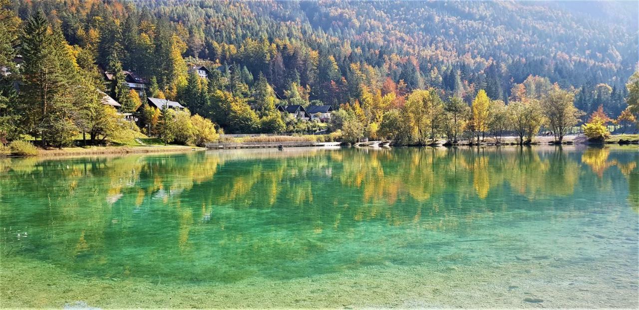 Yellow Apartma Kranjska Gora Lejlighed Eksteriør billede